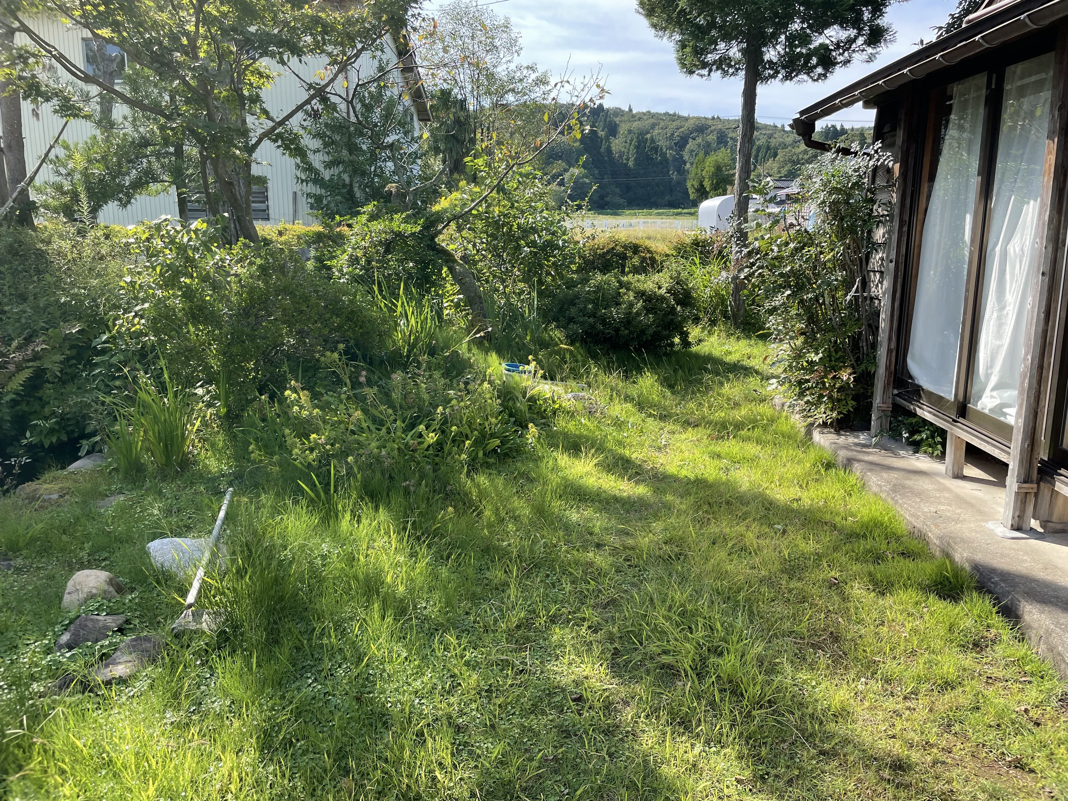 自宅周りの草取りのお手伝いをお願いします。